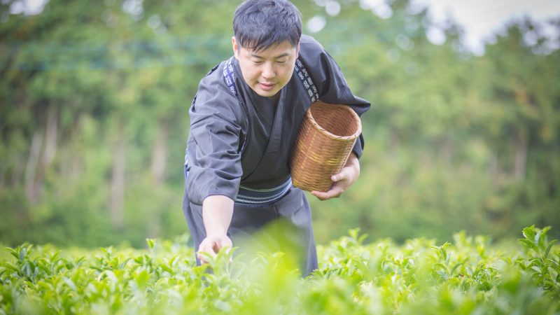 ishikawa5.jpg のコピー