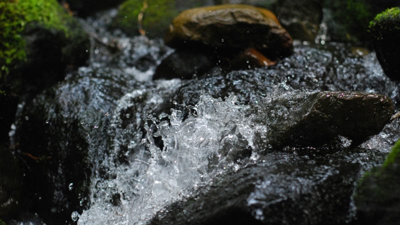 jael-coon-QLt9M3T20mI-unsplash