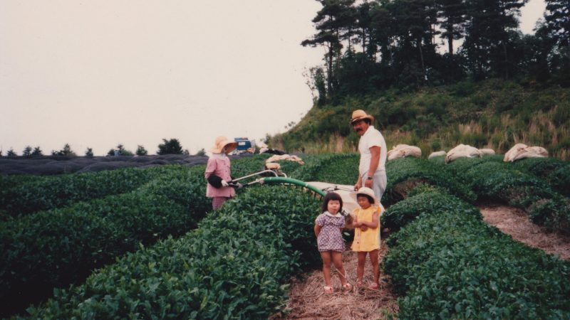 写真３５.jpg のコピー